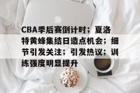 爱游戏平台-CBA季后赛倒计时；夏洛特黄蜂集结日造点机会；细节引发关注；引发热议；训练强度明显提升的简单介绍